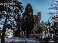 Медицинский университет ищет подрядчика, который за 2 миллиона оградит дачу Квитко в Сочи