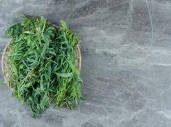 25 килограмм тархуна из Армении уничтожили в аэропорту Сочи