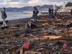 Городской пляж в центре Сочи превратился в свалку после сильного шторма