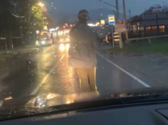 Мужчина с рулём в руках: на дороге в Сочи заметили необычного автомобилиста 