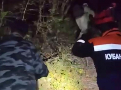 Пожилая пара отправилась за грибами и заблудилась в ночном лесу Сочи