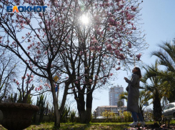 Названа средняя стоимость ночи в отелях Сочи в апреле