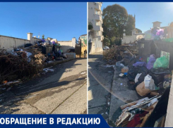 Год новый, а проблемы старые: 2 месяца не вывозят мусор с Курортного проспекта Сочи