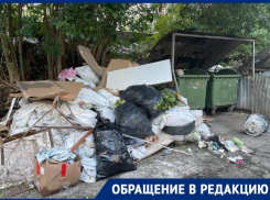 «Из контейнеров забирают, а рядом оставляют»: жительница Сочи жалуется на вывоз мусора