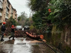 Оползень сошел около многоквартирного дома в Сочи