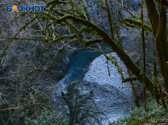 Администрации Сочи всё-таки придётся заплатить 84 миллиона за загрязнение реки Аше