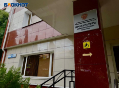 Школа в Сочи отказывалась бесплатно кормить детей из многодетной семьи