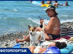 Где не ступала нога туриста: фоторепортаж «Блокнота» о диком отдыхе в Сочи