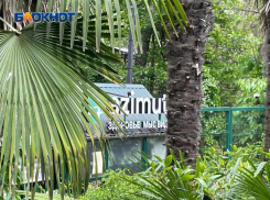 Сочи в очередной раз обошел Турцию по цене туров на лето