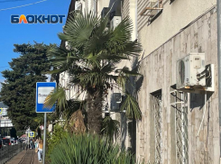 Полиция Сочи ищет троицу, избившую на улице мужчину до бессознательного состояния