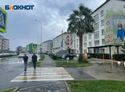 В Сириусе хотят ввести платный проезд по дорогам