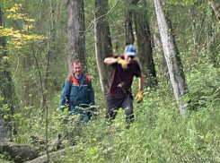 73-летний турист из Московской области потерялся в лесу Сочи