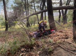 Россиянка упала с обрыва во время отдыха в Сочи