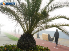 На Сочи надвигается туман