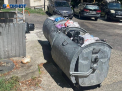 Грузчик мусоровоза осудили за смерть пьяного мужчины, уснувшего в контейнере в Сочи