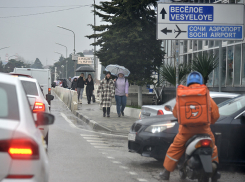 Жители Сочи обвинили властей в бездействии из-за ежедневной пробки на границе с Абхазией