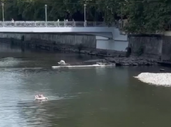 В Сочи турист отправился вплавь к морю