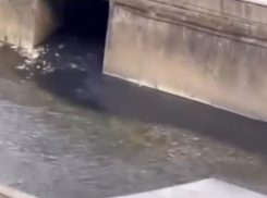  Черную жидкость слили в реку Восточный Дагомыс Сочи