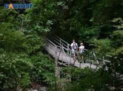 Придется тратить на вход и беседки: пикники в лесах Сочи стали платными