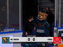 Хоккейный матч «Сочи» и ЦСКА прервали из-за атаки БПЛА