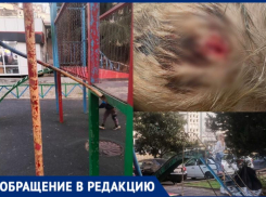 Малыши калечатся, власти пишут отписки: родители микрорайона Сочи много лет не могут добиться ремонта детской площадки