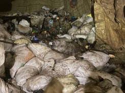 20 КАМАЗов мусора обнаружили в Ахтырской пещере Сочи