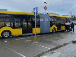 Автобусы-«гармошки» появились на дорогах Сочи