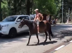 На просторах известного курорта Сочи замечен мужчина верхом на коне в компании жеребёнка