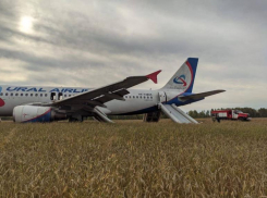 Пассажирский самолет Сочи — Омск совершил экстренную посадку в поле под Новосибирском