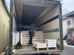 40 тонн мандаринов доставили из Сочи в зону СВО и в новые территории