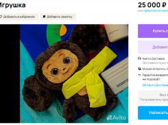 За 25 тысяч рублей выставили на продажу Чебурашку, талисман Всемирного фестиваля в Сириусе