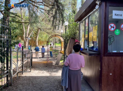 Дресс-код прошлого века и чайная церемония: в Сочи отметят юбилей парка «Южные культуры»