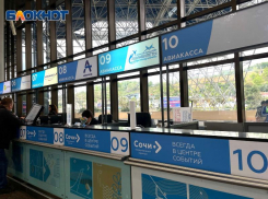  На 85 % выросла за месяц стоимость авиабилетов «Санкт-Петербург-Сочи»