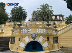 Сочинский Дендрарий вошел в топ-3 парков страны