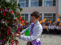 Школы в Сочи проверят на безопасность 