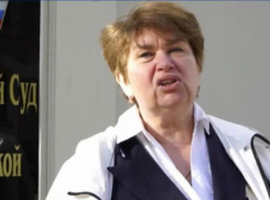  В Сочи вынесли приговор общественнице, которая помогала дачникам