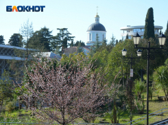 Украинские БПЛА пытаются атаковать Сочи прямо средь бела дня