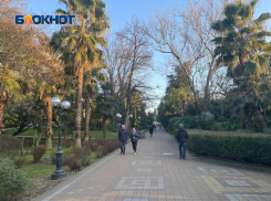 Сочи стал лидером среди популярных направлений для туризма в 2026 году