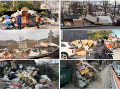 Горожане атаковали мэра Сочи фотографиями мусорных залежей, как в Мумбае