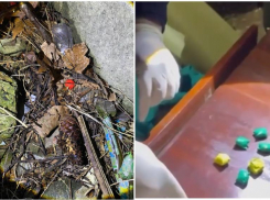 Срок, равный своему возрасту, может получить 20-летняя «закладчица» из Сочи