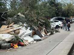 115 миллионов готова потратить мэрия Сочи на полугодовую уборку свалок в Хостинском районе