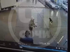 Мужчина зарезал ножом собаку на рынке Сочи