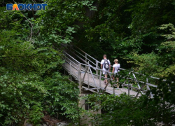 Верховный суд РФ истребовал 35 дел об изъятии земель в Сочинском нацпарке 