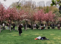 Черешневый сад в центре Сочи привлек множество отдыхающих 