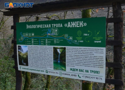  Четыре туристических объекта Сочи возобновили свою работу