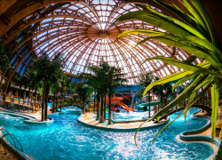  В Сочи за 3,8 млрд рублей построят круглогодичный аквапарк  мирового уровня