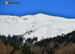 За сутки почти полметра снега намело в горах Сочи