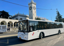 В Сочи появятся ночные автобусные маршруты