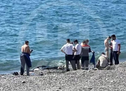 Мужчина утонул на пляже в Сириусе средь бела дня