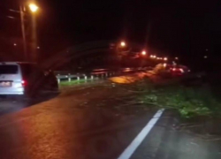 Сель повалил дерево на трассу Адлер — Красная Поляна